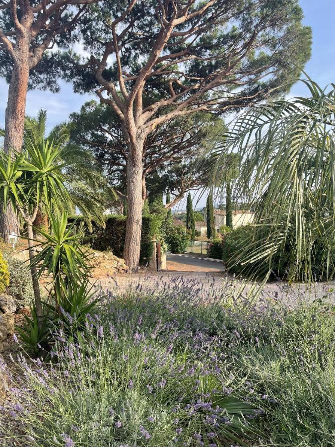 Paradis Provencal Bed & Breakfast Sainte-Maxime Ngoại thất bức ảnh