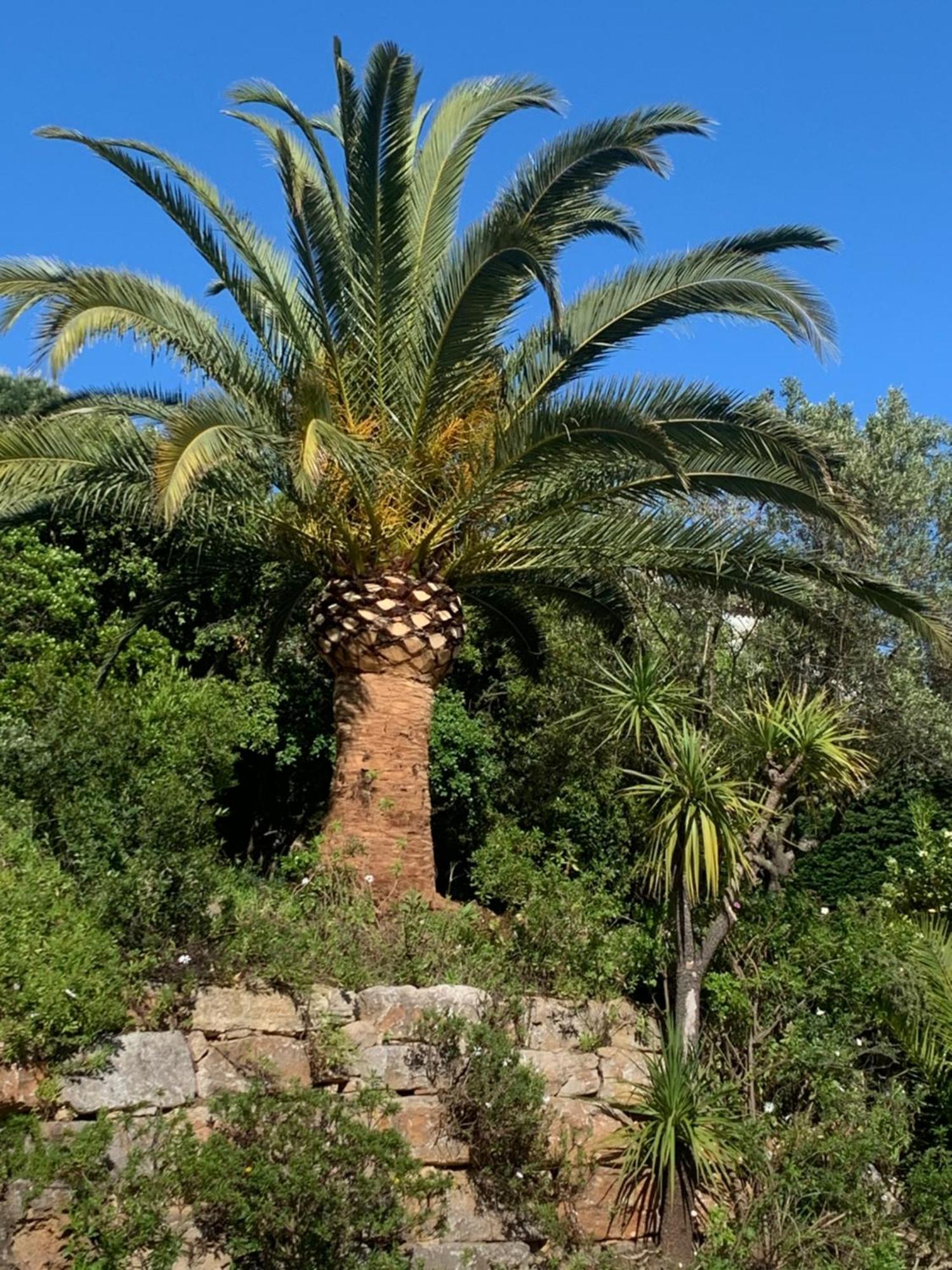 Paradis Provencal Bed & Breakfast Sainte-Maxime Ngoại thất bức ảnh